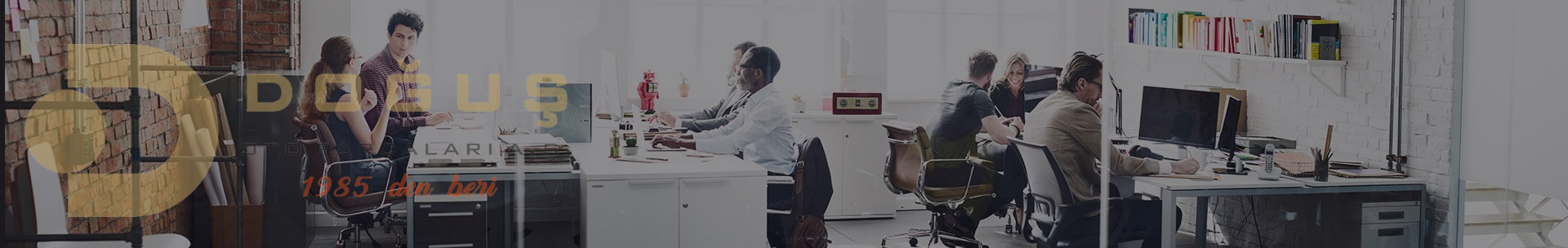 Doğuş Oto Parçaları A.Ş.