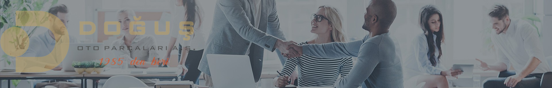 Doğuş Oto Parçaları A.Ş.